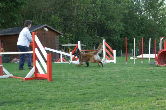 agility 2011-04